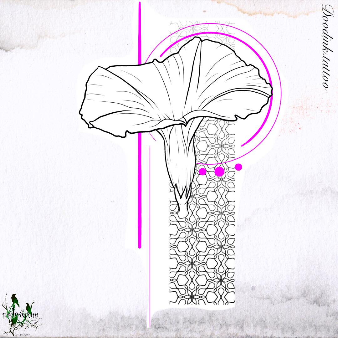 fleur-trait-violet