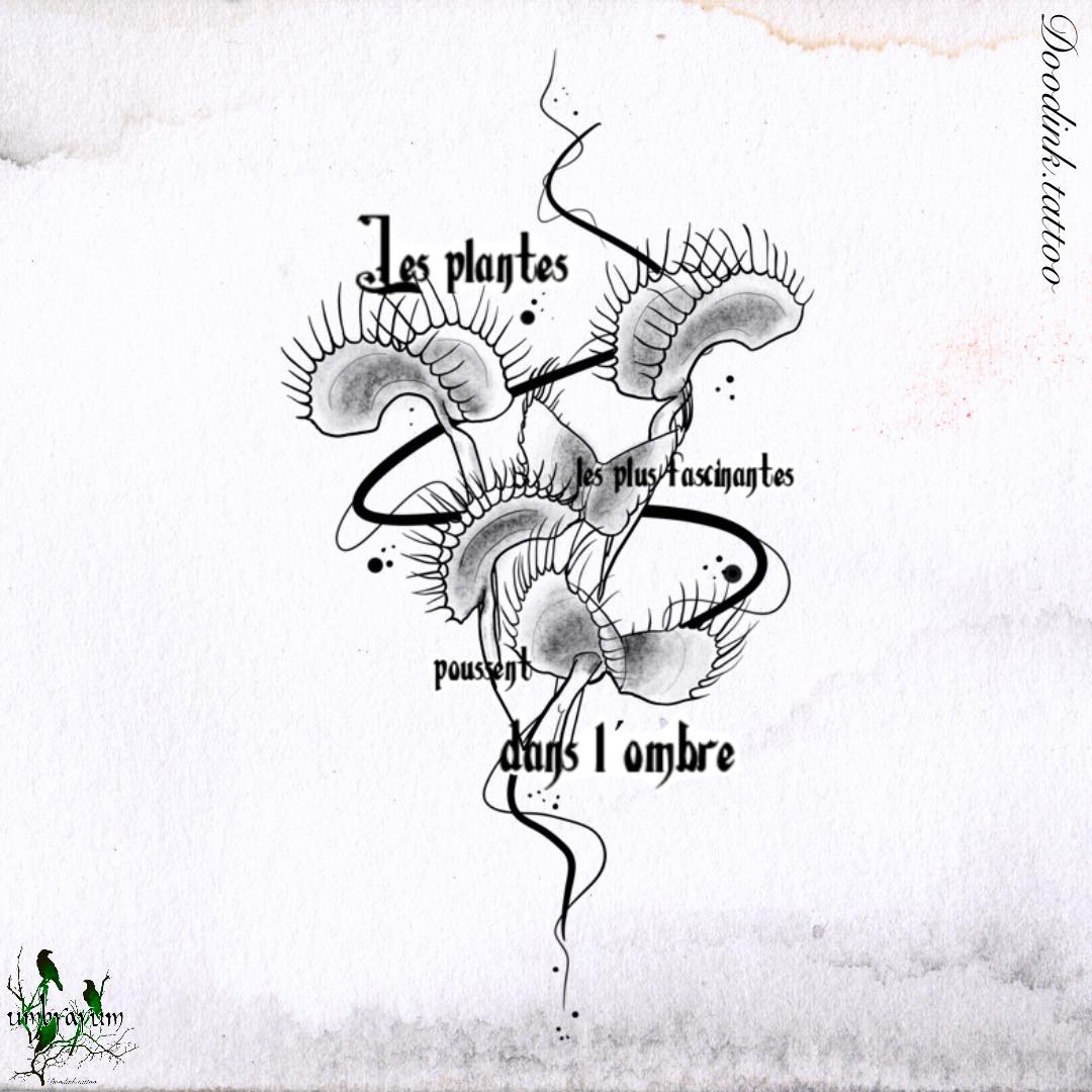 plantes-carnivores