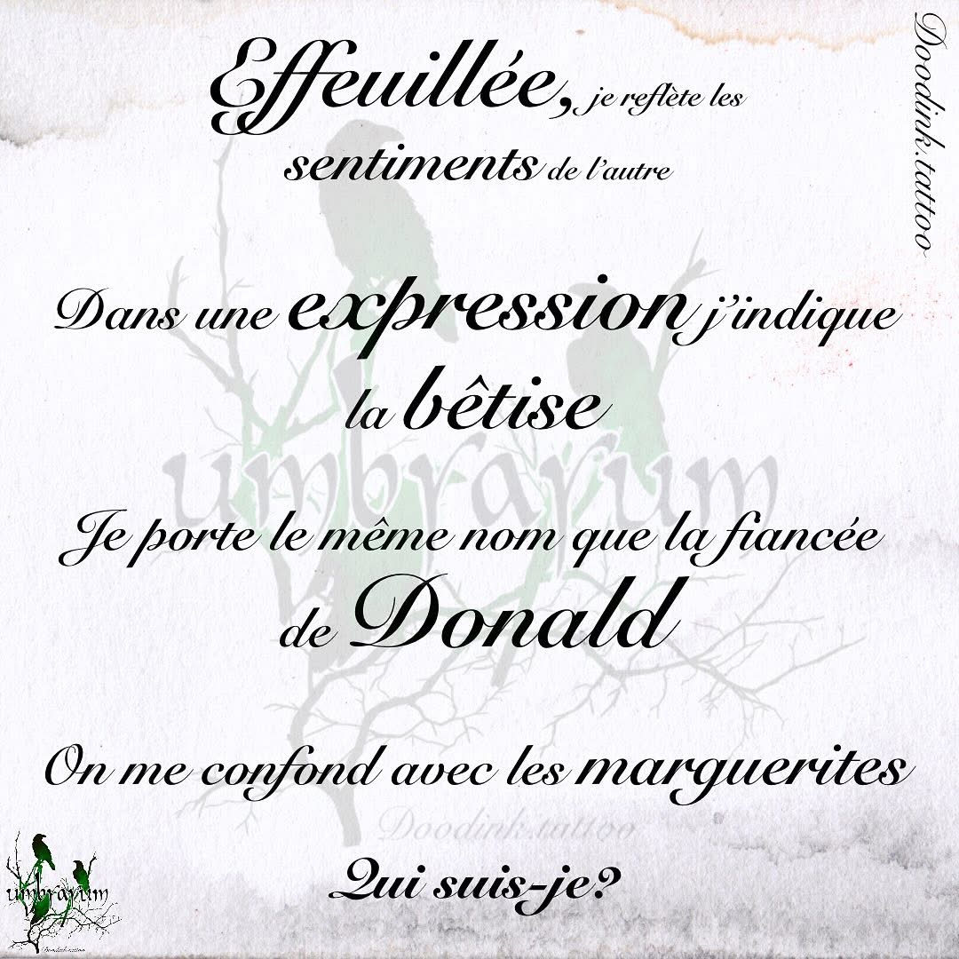 enigme-parchemin5