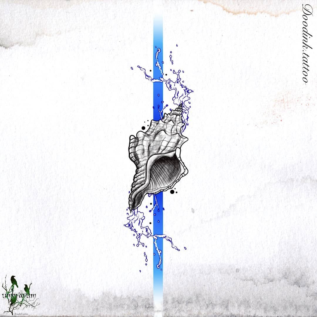 coquillage-flash